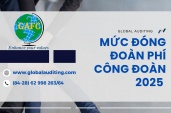 MỨC ĐÓNG ĐOÀN PHÍ CÔNG ĐOÀN 2025 THEO QUYẾT ĐỊNH 61/QĐ-TLĐ – GIẢM 50% ÁP DÙNG TỪ NGÀY 01/07/2025
