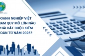 Doanh Nghiệp Việt nam Quy Mô Lớn Nào Phải Bắt Buộc Kiểm Toán Từ Năm 2025?