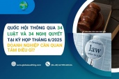 Quốc Hội Thông Qua 34 Luật Và 34 Nghị Quyết Tại Kỳ Họp Tháng 6/2025 – Doanh Nghiệp Cần Quan Tâm Điều Gì?