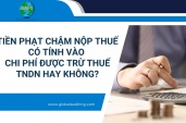 Tiền Phạt Chậm Nộp Thuế Có Tính Vào  Chi Phí Được Trừ Thuế TNDN Hay Không?